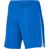 Nike League III Knit Shorts