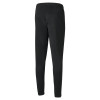 Puma Team Rise Training Pants