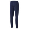 Puma Team Rise Training Pants