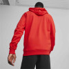 Puma Team Goal Casuals Hooded Jacket