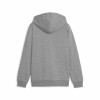 Puma Team Goal Casuals Hooded Jacket