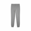 Puma Team Goal Casuals Pants