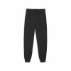Puma Team Goal Casuals Pants