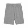 Puma Team Goal Casuals Shorts