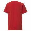Puma Team Liga Striped Jersey - Puma Red/Puma Black/Puma White