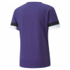 Puma Team Rise Jersey