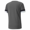 Puma Team Rise Jersey