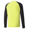 Puma Team Pacer GK Jersey