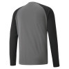 Puma Team Pacer GK Jersey